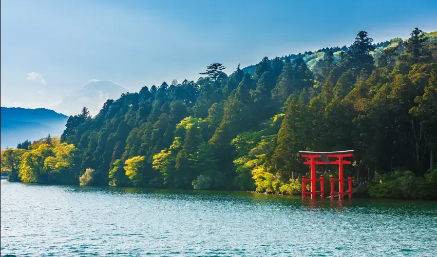 Viaje viaje-japon-tokio-kyoto-tvg-3709