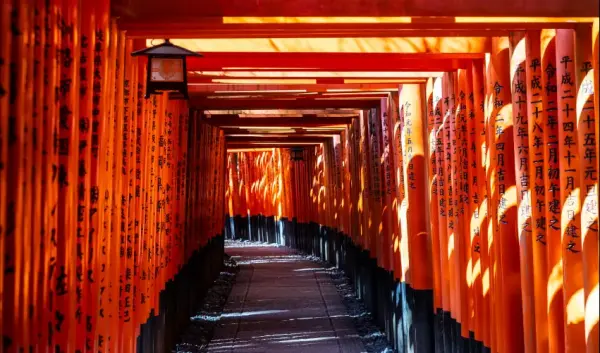 VIAJE VIAJE JAPON TOKIO KYOTO TVG 3709