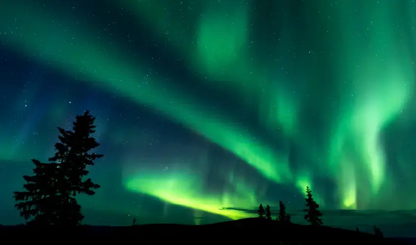 Viaje viaje-yukon-canada-4583