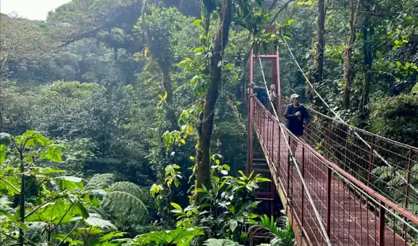 VIAJE VIAJE CENTROAMERICA SAN JOSE MONTEVERDE COSTA RICA 4654