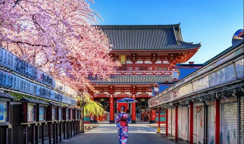 Viaje japon-tokio-kioto-osaka-tvg-4946