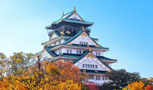 VIAJE SEUL COREA TOKIO JAPON TVG 4947