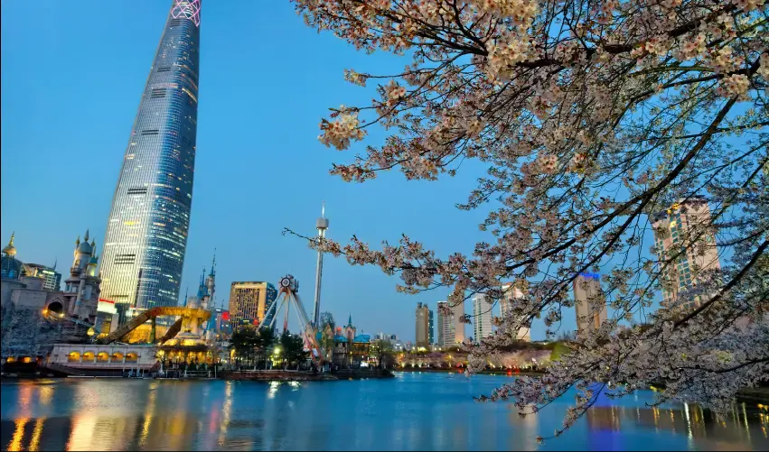 Viaje seul-corea-tokio-japon-tvg-4947