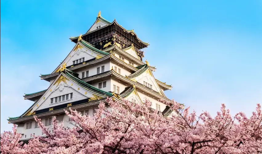 Viaje osaka-kioto-tokio-japon-tvg-4956