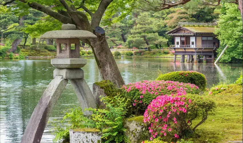 Viaje japon-tokio-tvg-5256