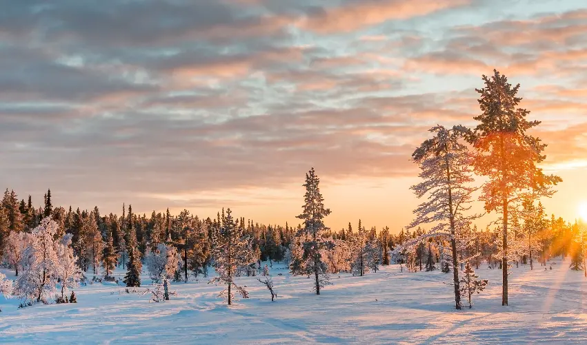 Viaje viaje-europa-finlandia-helsinki-laponia-ruka-5335