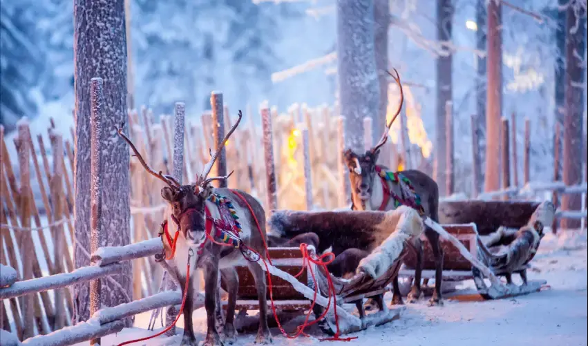 Viaje viaje-europa-noruega-tromso-narvik-suecia-kiruna-finlandia-rovaniemi-5379