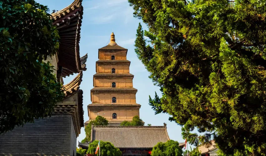 Viaje viaje-china-beijing-xian-shanghai-tvg-5636