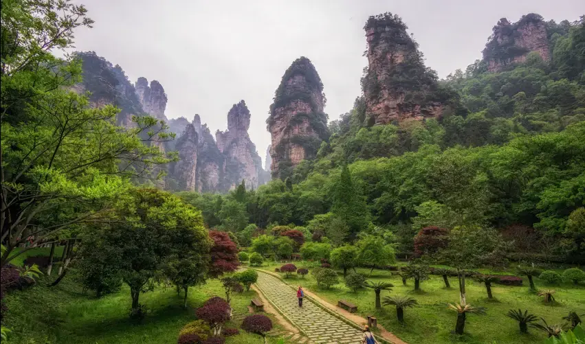 Viaje viaje-zhangjiajie-shanghai-tvg-5648